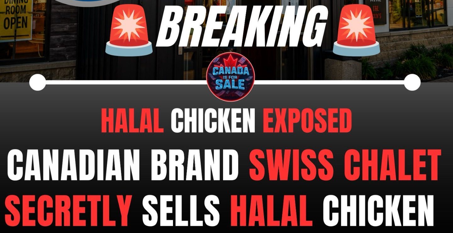 Headline band of the 28 August 2026 Instagram graphic: Breaking, halal chicken exposed, Canadian brand Swiss Chalet secretly sells halal chicken